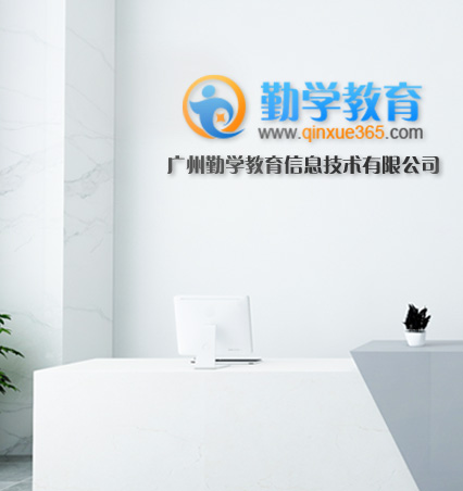 公司概览 